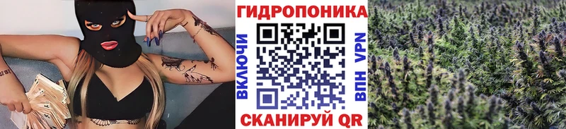 Шишки марихуана тримм  нарко площадка телеграм  Порхов 